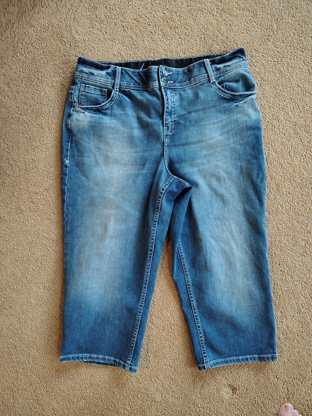 Lane Bryant Capris-size 16 - Picture 4 of 6